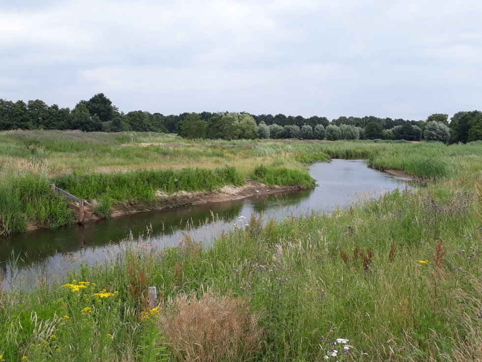 Wandeling Dynamisch beekdal de Aa in Middelrode